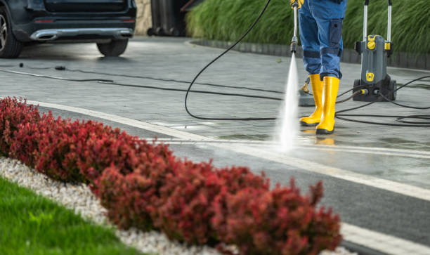 Roof Power Washing Services in Mount Zion, IL